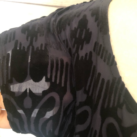 Forever 21 Velvet Sheer Crop Top - Picture 2 of 3